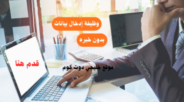 وظيفة إدخال بيانات