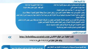 مصر للطيران ٢