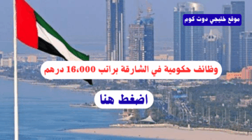 وظائف حكومية