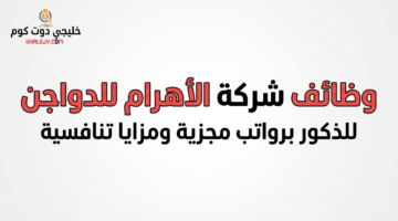 511b3a16 d6ca 11f0 824c 6ed2bd3e40b6 0