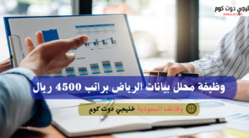 وظيفة محلل بيانات الرياض