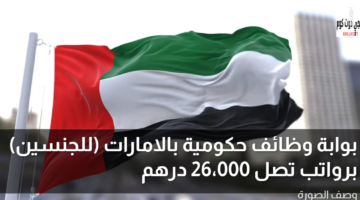 بوابة وظائف حكومية بالامارات