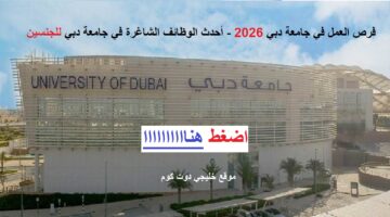 فرص العمل في جامعة دبي 2026