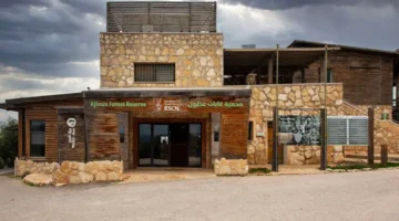 Ajloun Forest Biosphere Reserve 768x513 1
