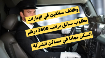 وظائف سائق في قطر